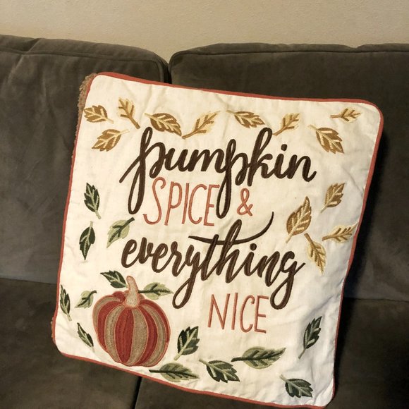 Pumpkins and Pillows, oh my! 🍁🍂 Fall decor - Picture 8 of 10